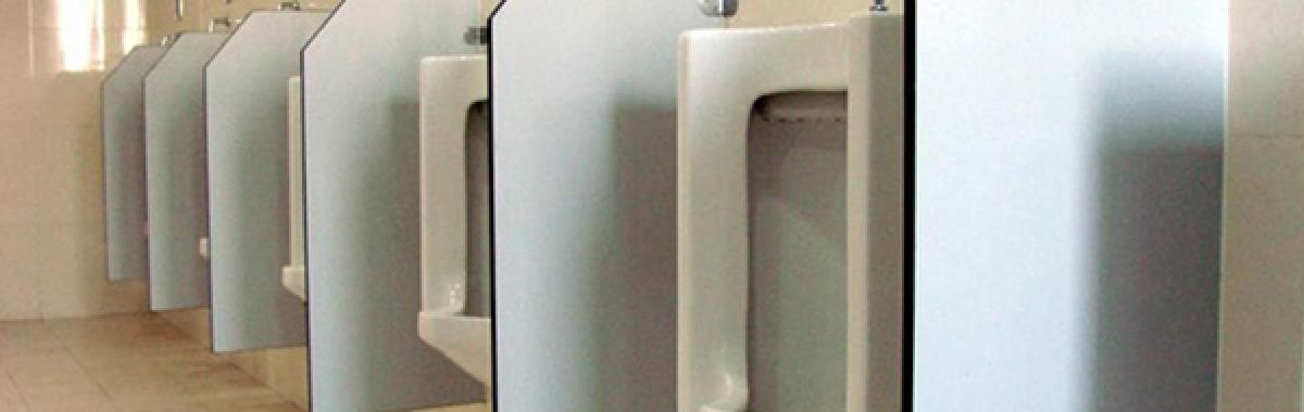 Divisória De Mictório Em Vidro Fosco